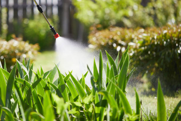 Tamper-Resistant Bait Stations for Rodents in St. Paul