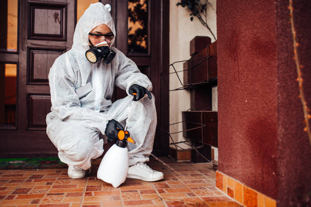 Attic and Crawl Space Rodent Treatment in St. Paul
