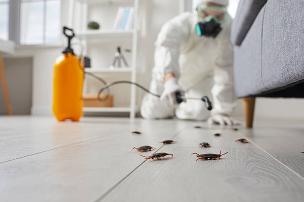 Commercial Rodent Management in St. Paul